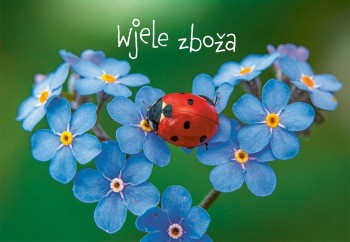 Zbožopřejna karta • Wjele zboža