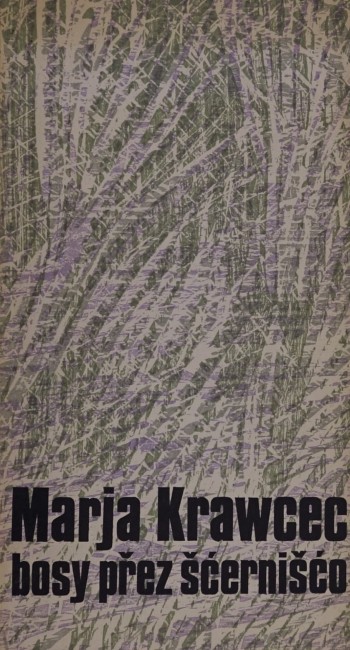 bosy přez šćernišćo