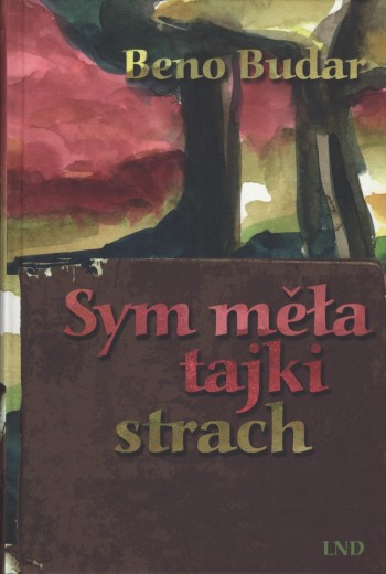 Sym měła tajki strach • e-book