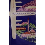Po dalokich pućach