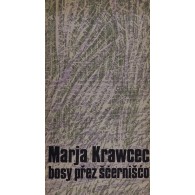 bosy přez šćernišćo