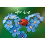Zbožopřejna karta • Wjele zboža
